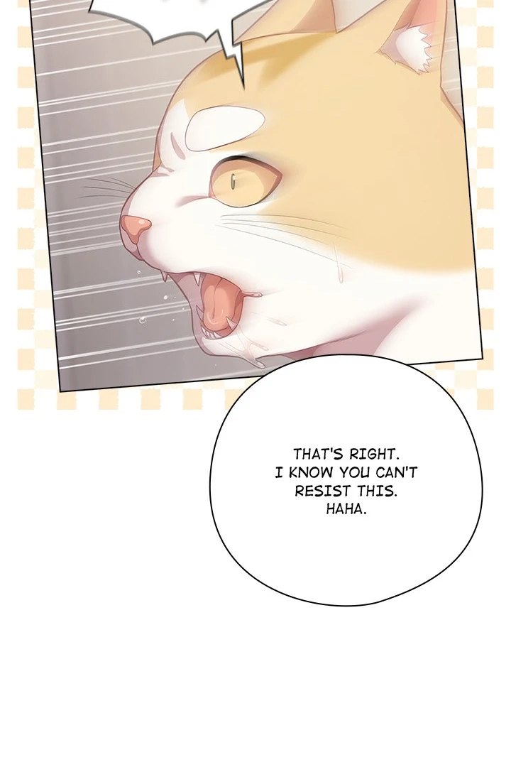 The General is Here! Chapter 33 image 65