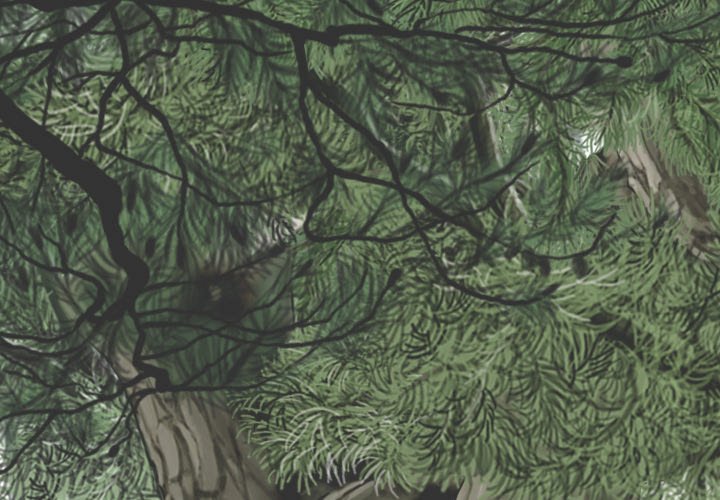 Only You Chapter 40 END image 0