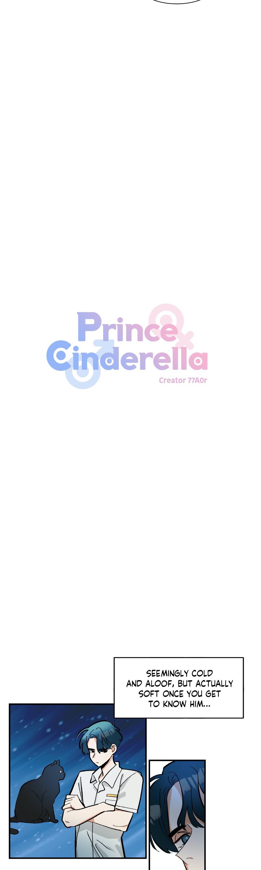 Prince Cinderella Chapter 11 image 1