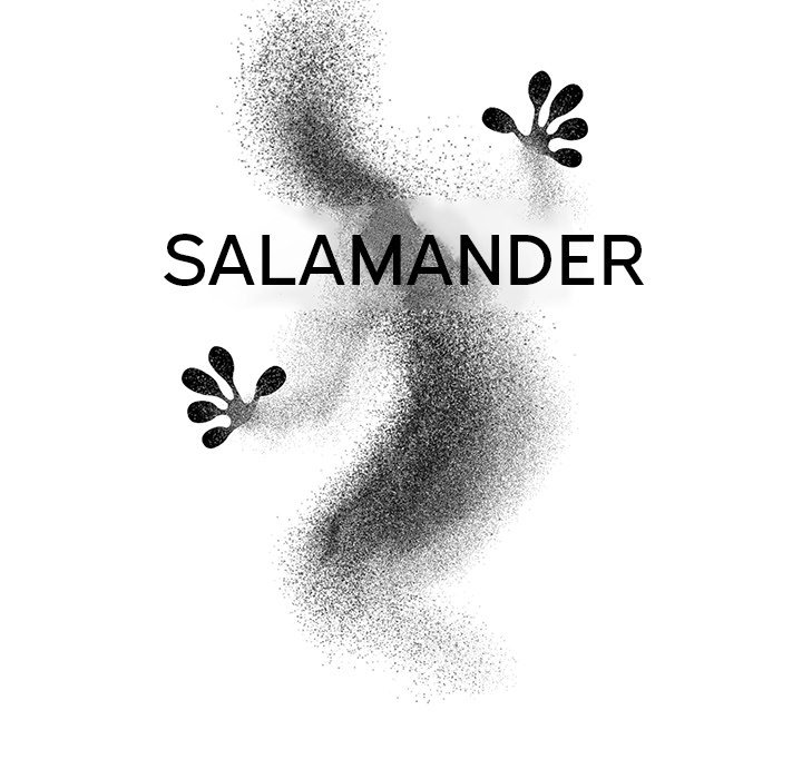 Salamander Chapter 9 image 28
