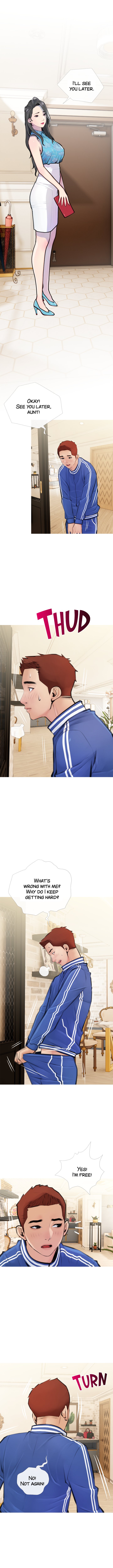 Banging My Aunt Chapter 1 image 9